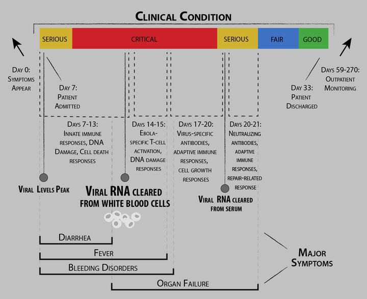 Inforgraphic of Ebola progression