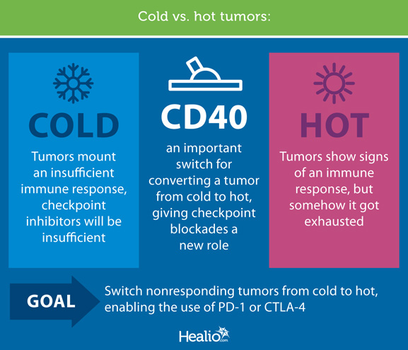 Cold vs. hot tumors